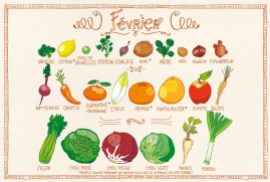 Fruits & légumes Février