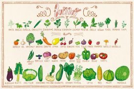Fruits & légumes Juillet