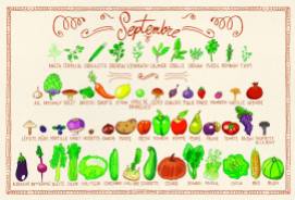 Fruits & légumes Septembre